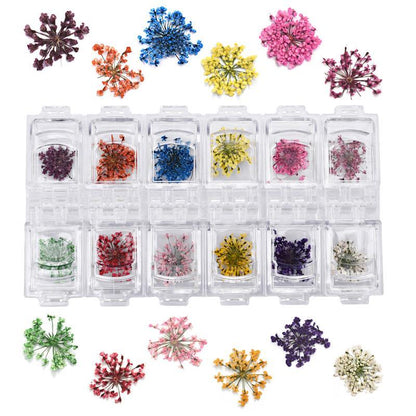 Small Nail Art Three Dimensional Dried Flowers